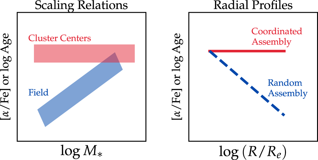 Coordinated Assembly of BCG (Gu et al. 2018a)