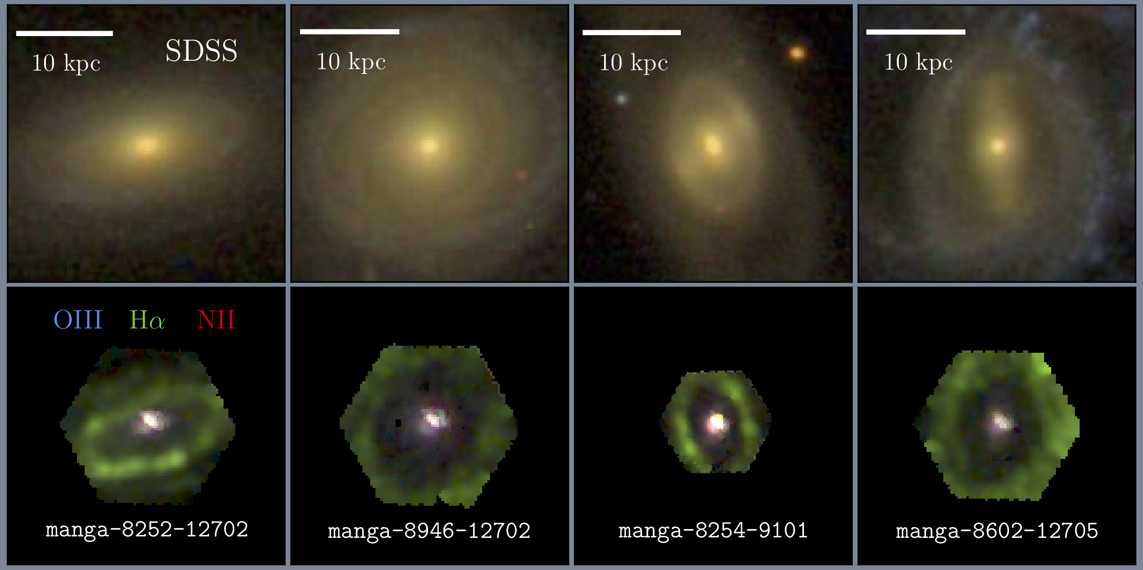 H-alpha ring galaxies in MaNGA